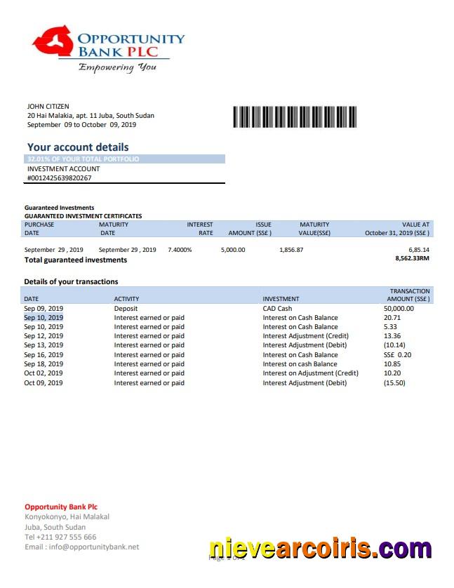 South Sudan Opportunity Bank statement in Word and PDF format